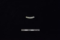 陶環藏品圖，第2張